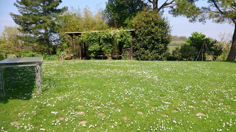 Agriturismo Ca'De'Gatti Faenza Exterior foto